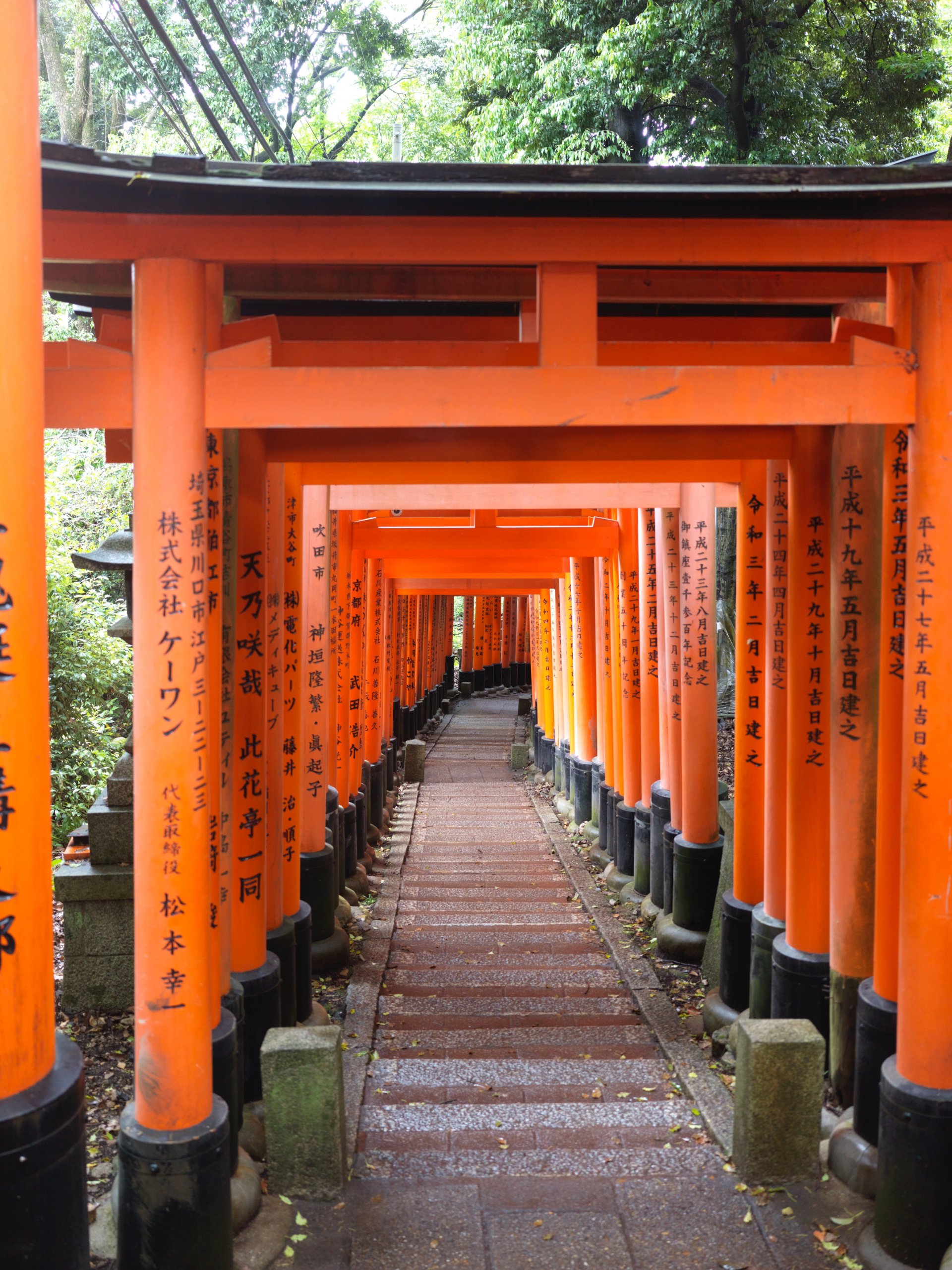 Torii gates in Japan