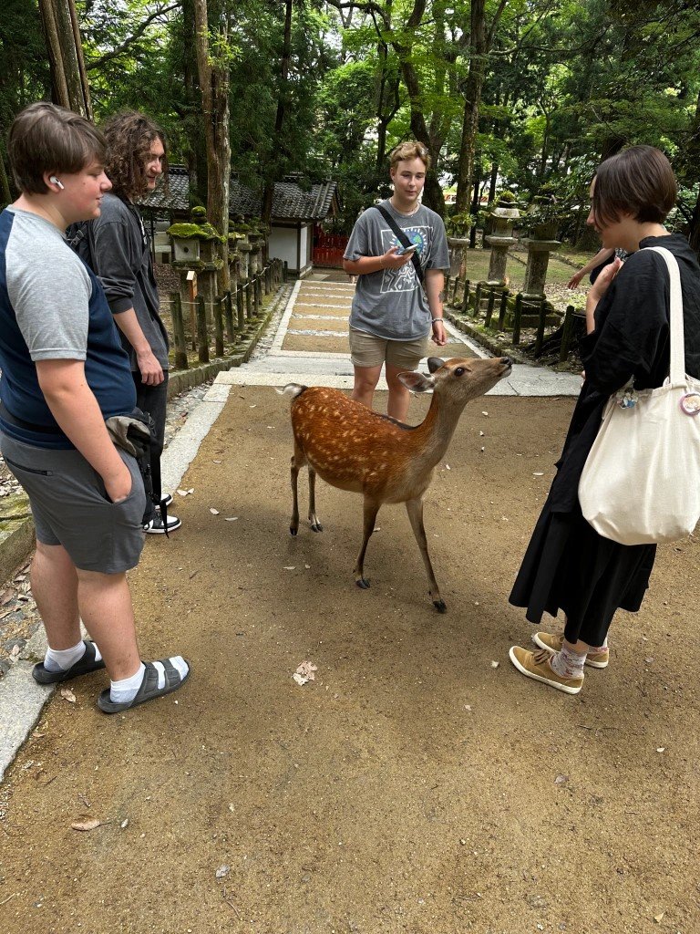 Students feeding small deer