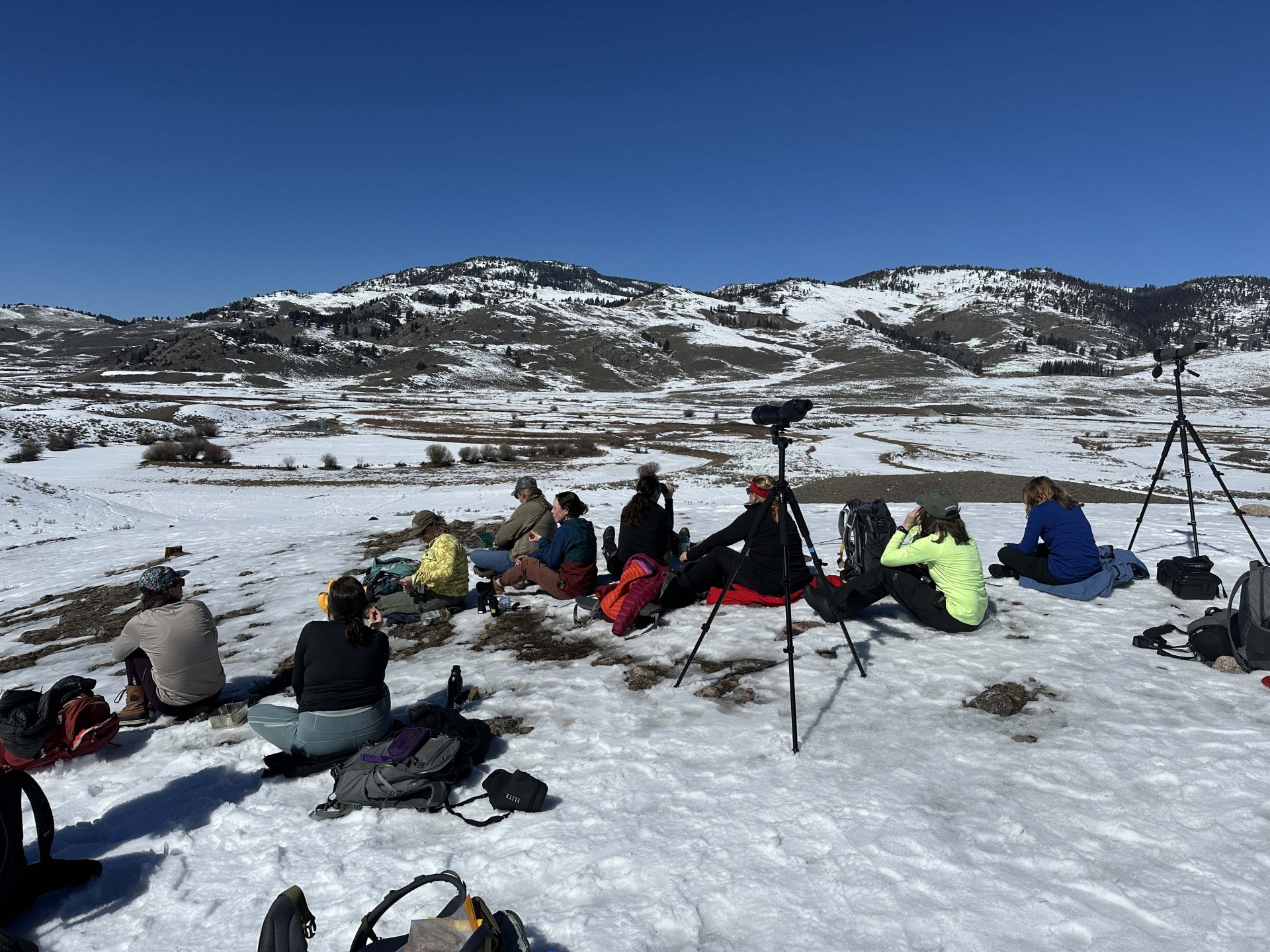 Fellowship teachers at work in Yellowstone