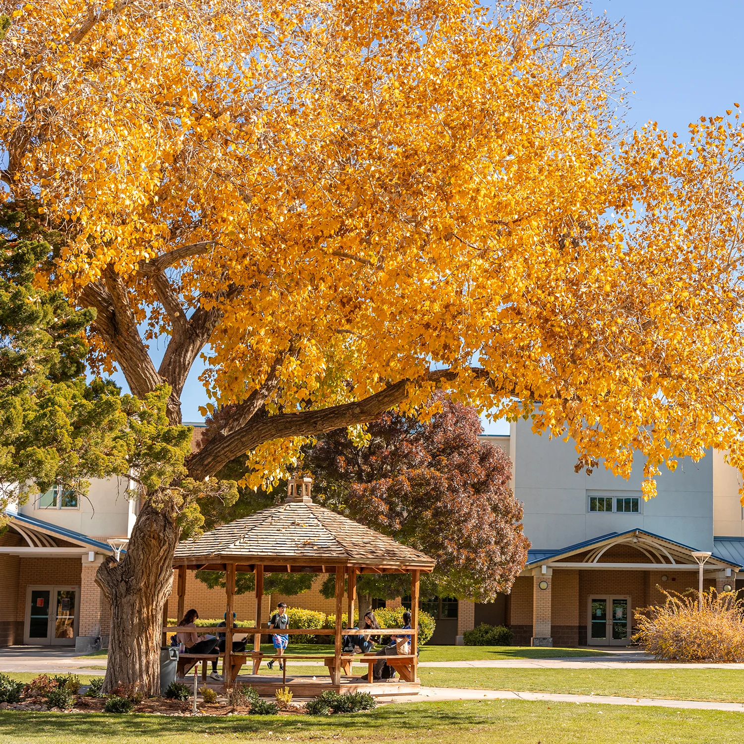 campus 