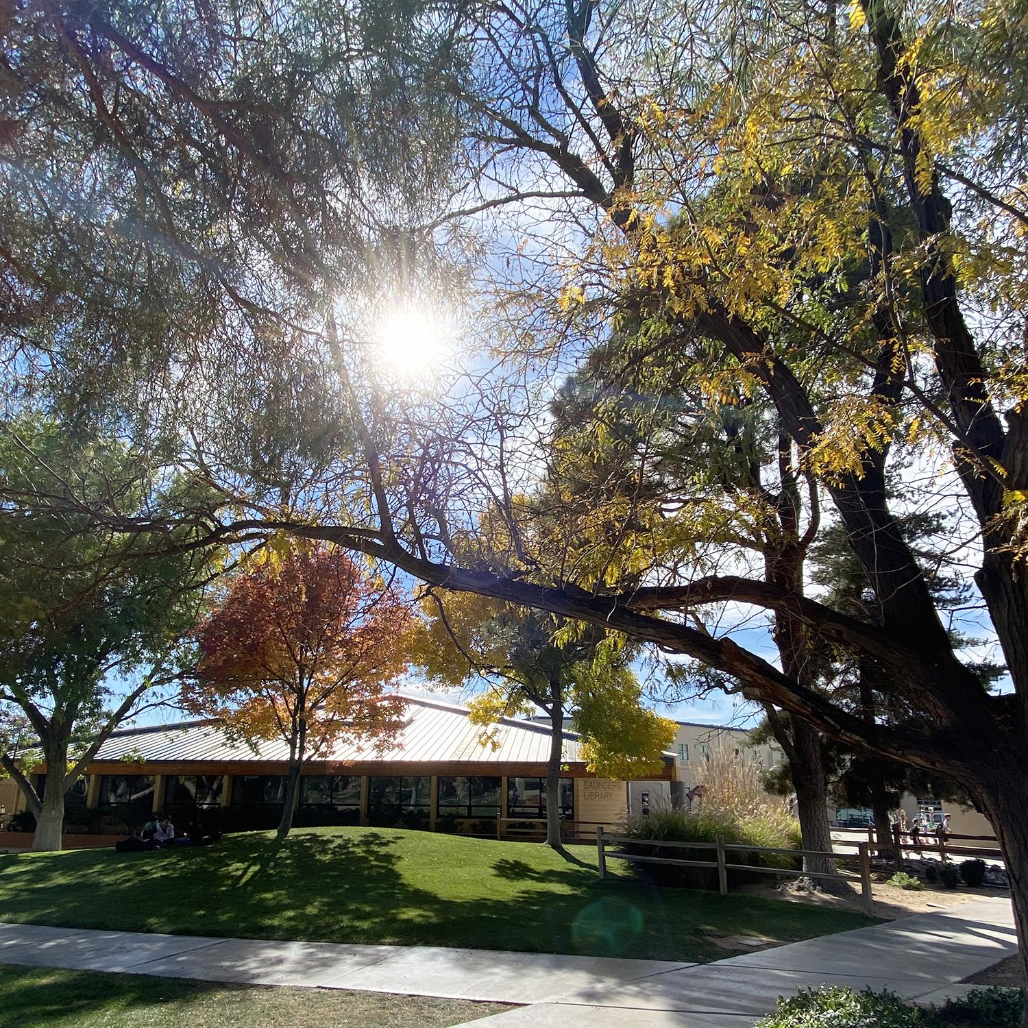 Prep Quad in the fall