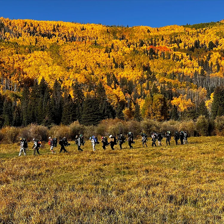 students hiking in the wilderness