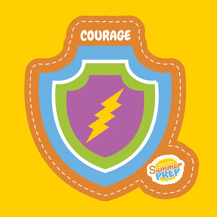 courage icon