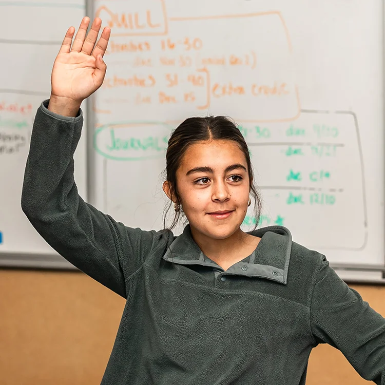 student raising hand in class