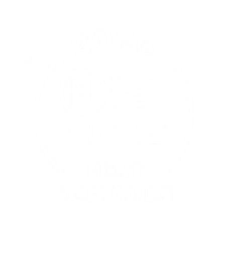Niche best schools ribbon icon