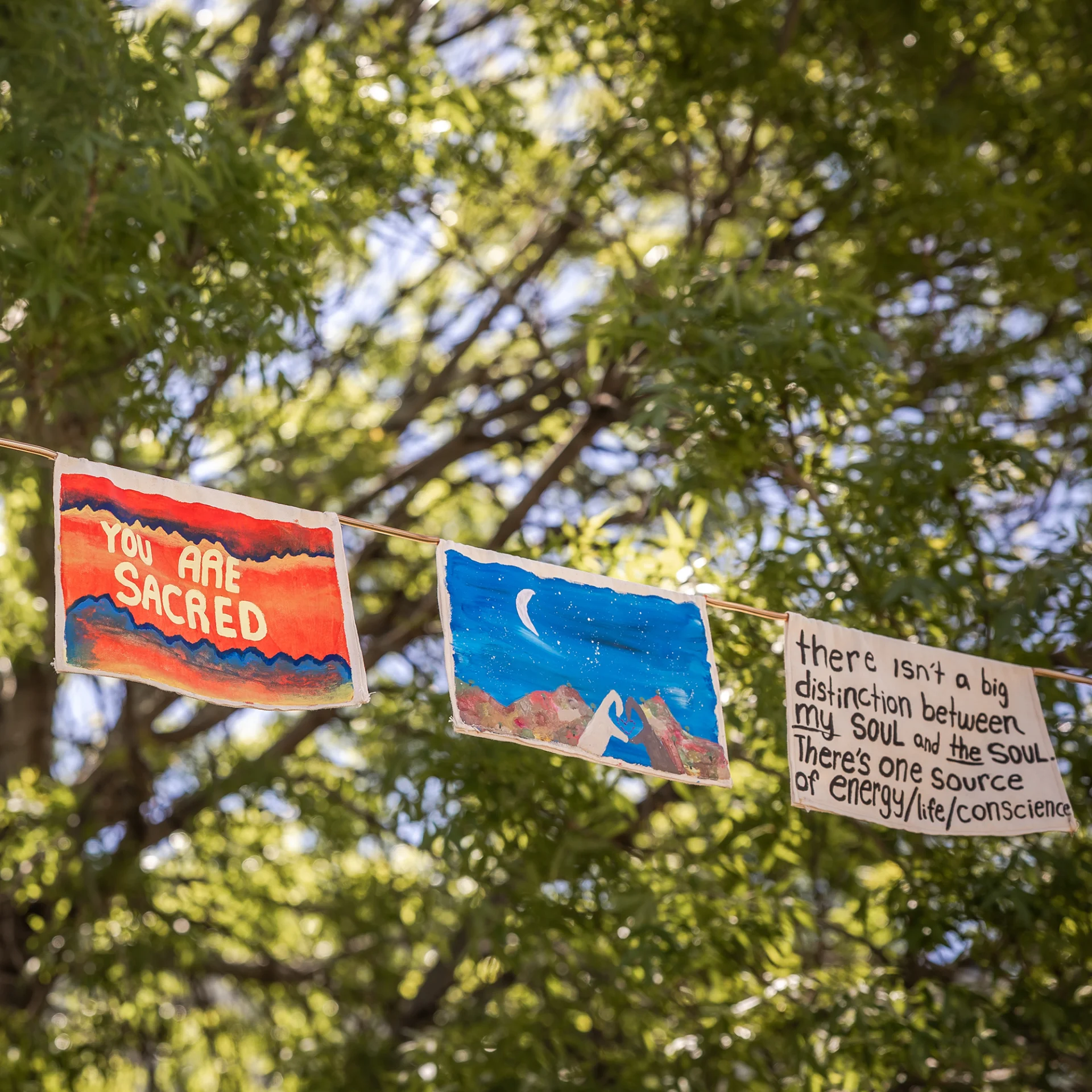 flags on campus