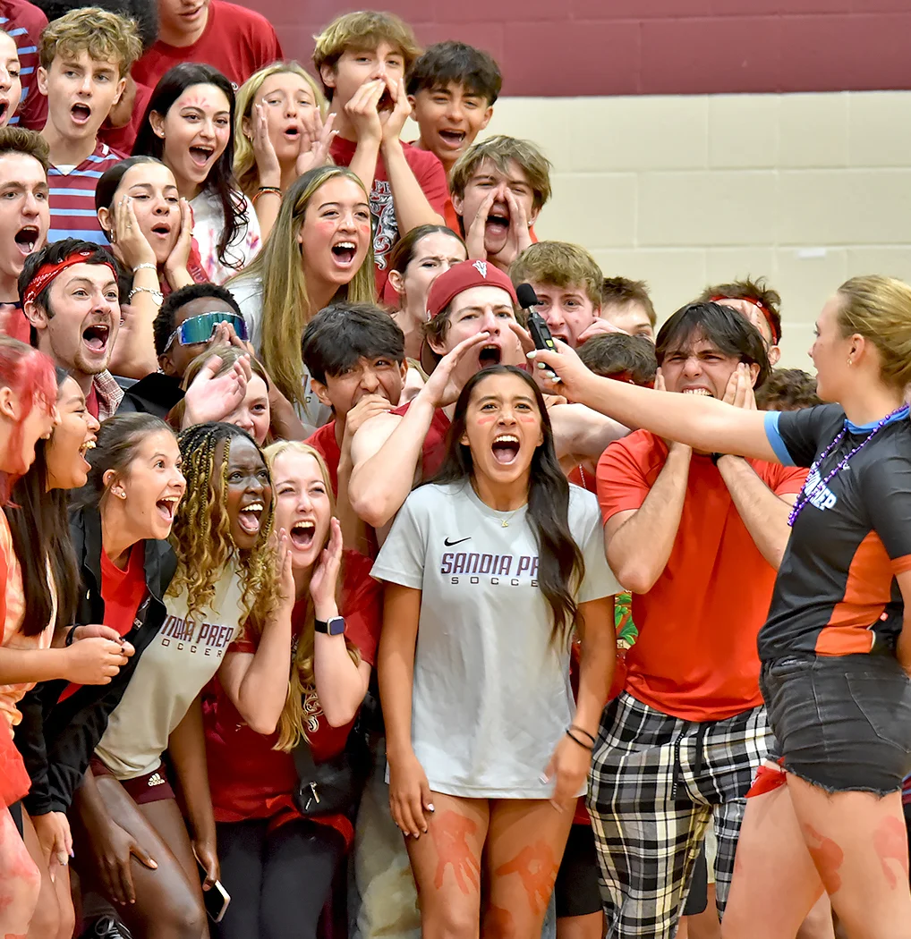 Lion and unicorn day cheer