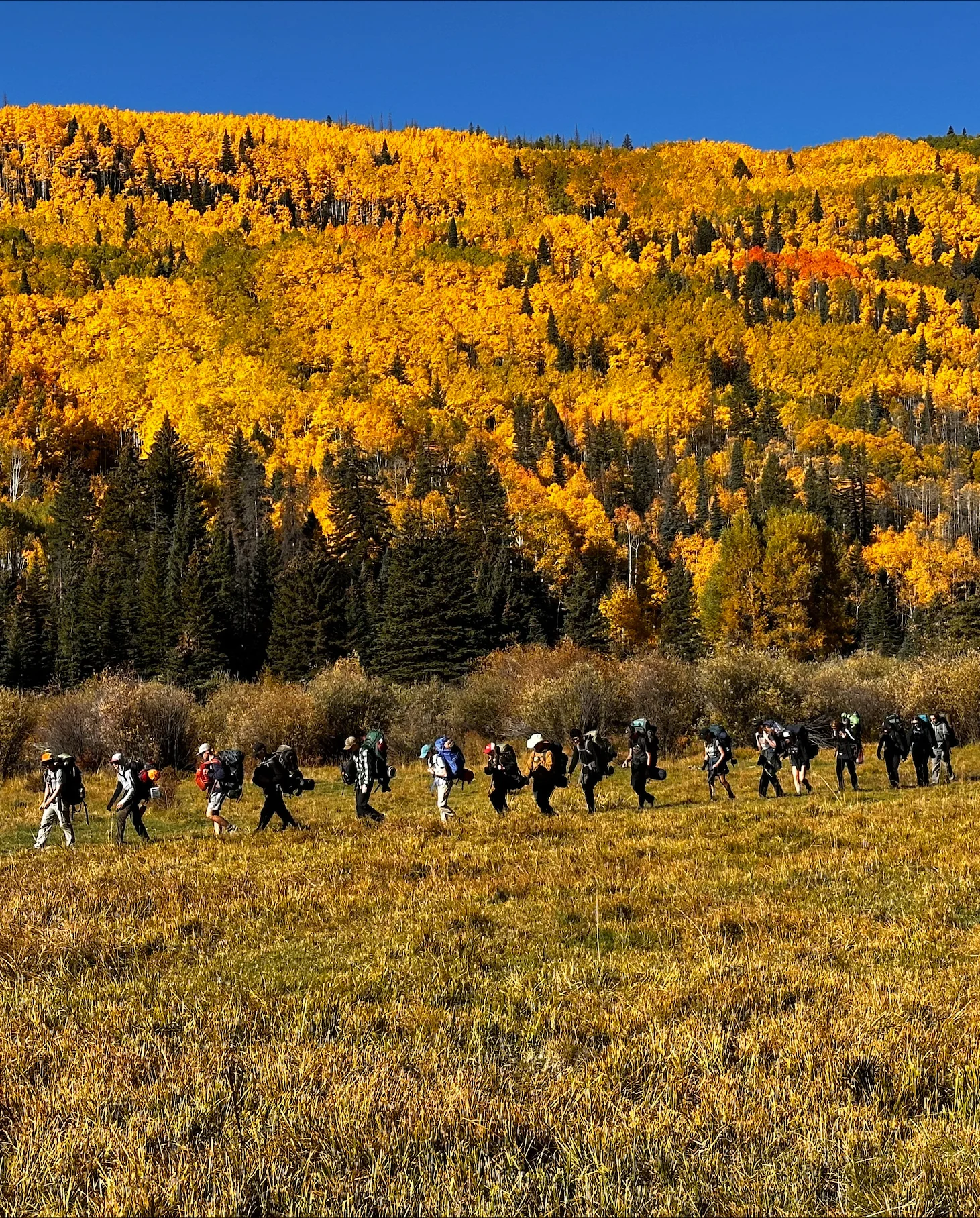 students hiking